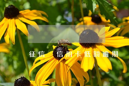 征信 信用卡低额逾期 征信 信用卡低额逾期